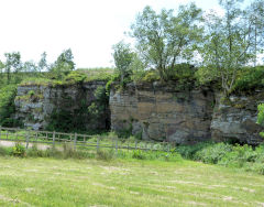 Bryn-ysgawen Quarry, Ynysddu, June 2011